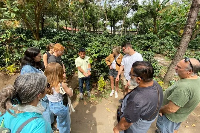 Antigua ATV Coffee Tour Review — Ride + Coffee Farm