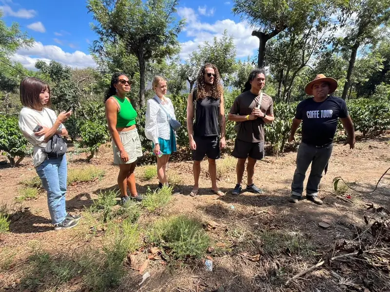 Antigua Coffee Farm Tour: Rivera Family Farm Review