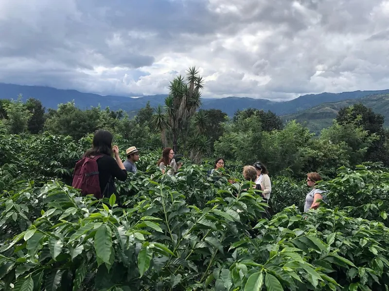 Antigua Coffee and Chocolate Tour — Farm + Cacao